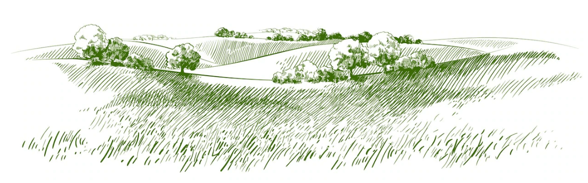 Description of the image