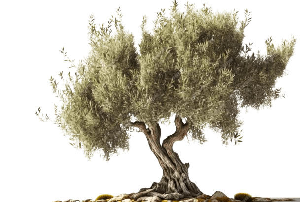 Description of the image