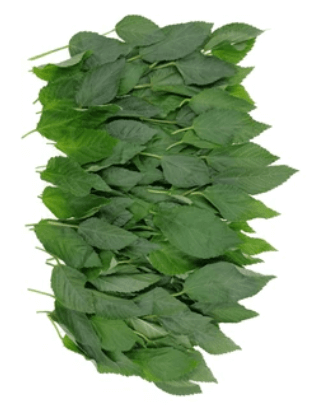 Product A
